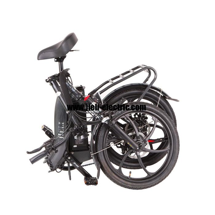 2022 250W Electric Folding Bike TDN09Z