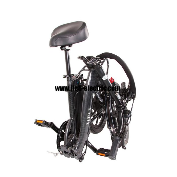 2022 250W Electric Folding Bike TDN09Z