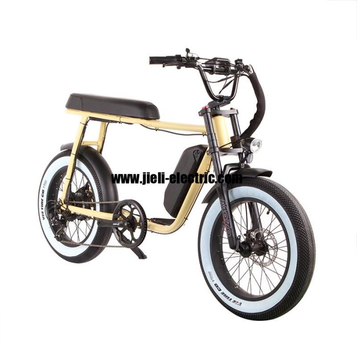 2022 750W Super Electric Retro Motor Bike Seadragon TDN07