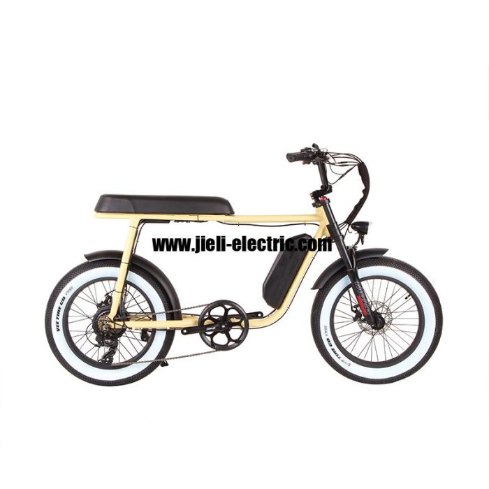 2022 750W Super Electric Retro Motor Bike Seadragon TDN07