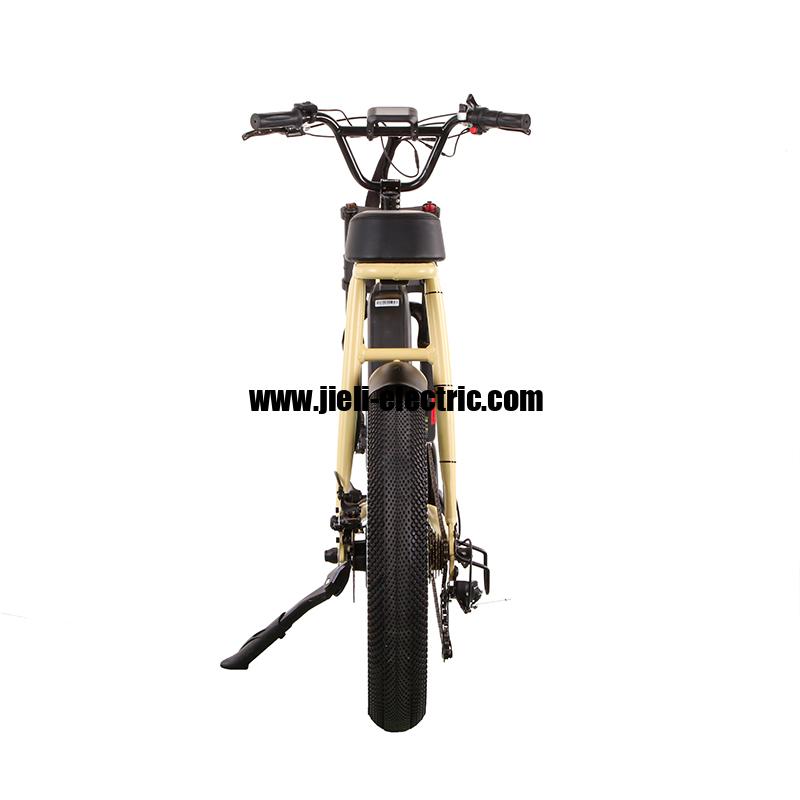 2022 750W Super Electric Retro Motor Bike Seadragon TDN07