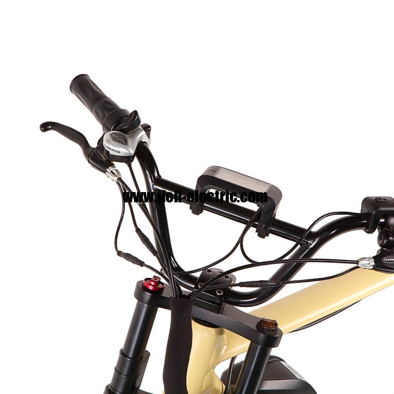 2022 750W Super Electric Retro Motor Bike Seadragon TDN07