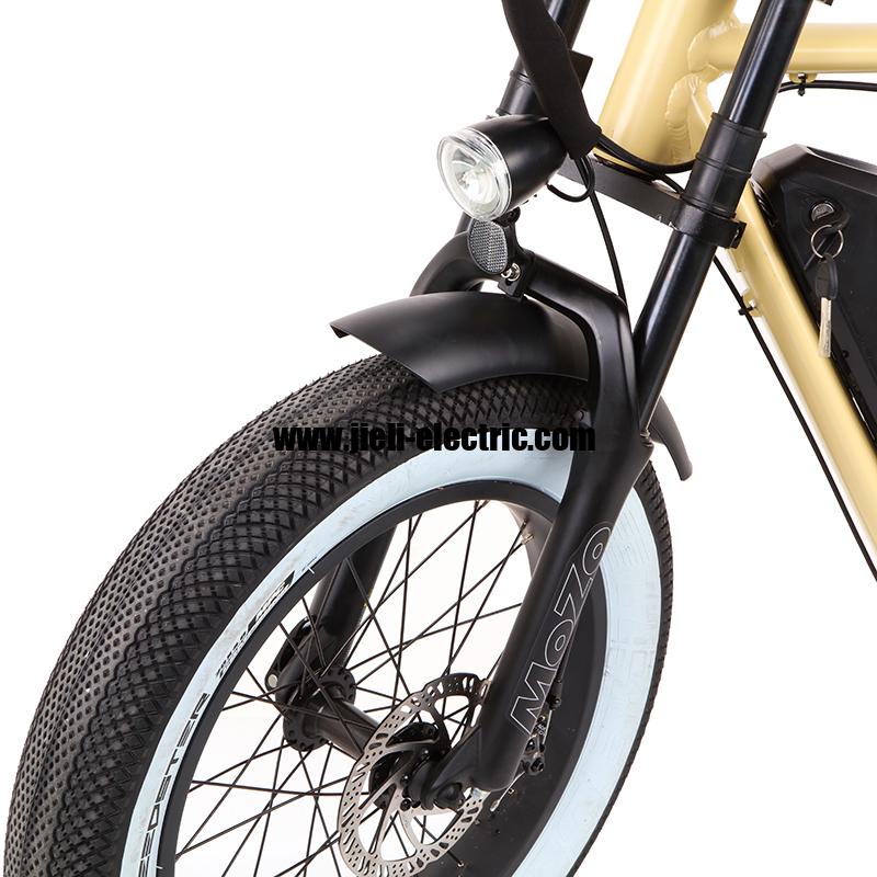 2022 750W Super Electric Retro Motor Bike Seadragon TDN07