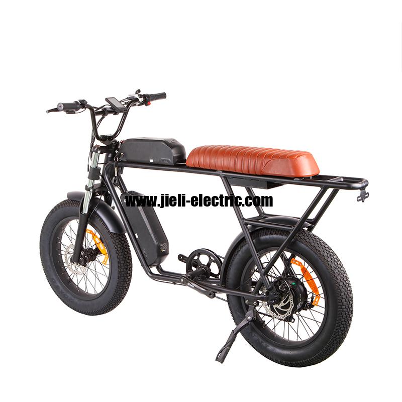 dual battery ebike