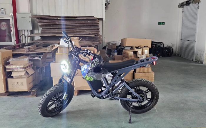60V 2000W Direct Drive FAST Custom ELECTRIC BIKE D2000