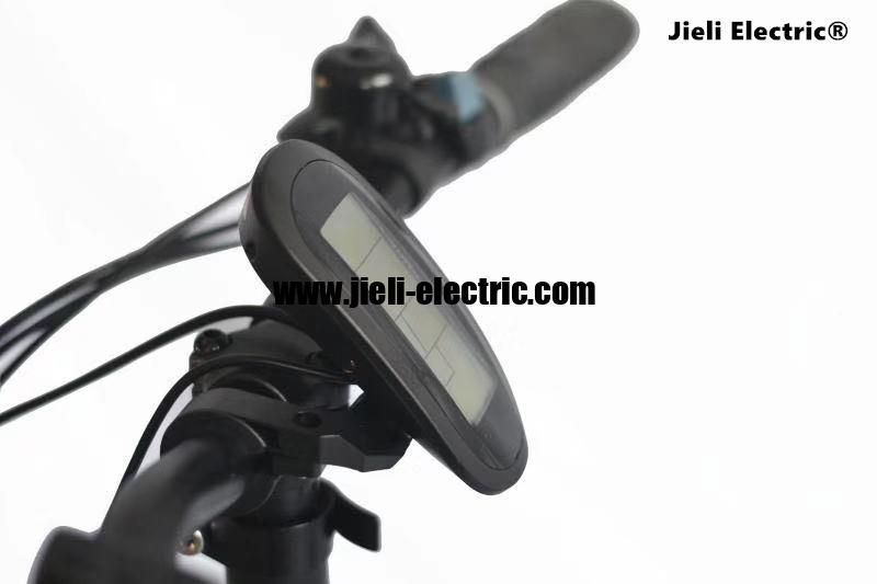ISRAEL Standart TUV EN15194 Big Foot Fat Tire Electric Bike 2