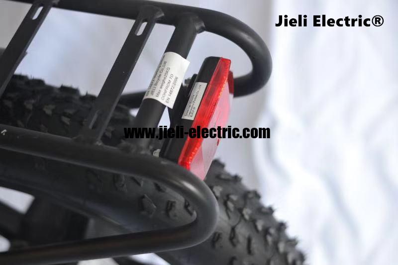 ISRAEL Standart TUV EN15194 Big Foot Fat Tire Electric Bike 1