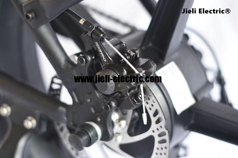 ISRAEL Standart TUV EN15194 Big Foot Fat Tire Electric Bike 5